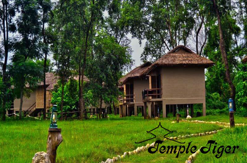 Temple-Tiger-Green-Jungle-Resort