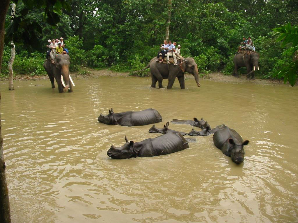 elephent-safari
