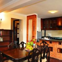 temple tiger luxury apartment thamel kitchen